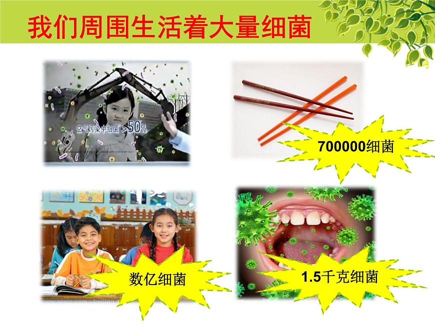 冀教版八上生物 5.1.1細(xì)菌 課件第1頁(yè)