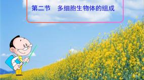 多细胞生物体的组成PPT课件免费下载