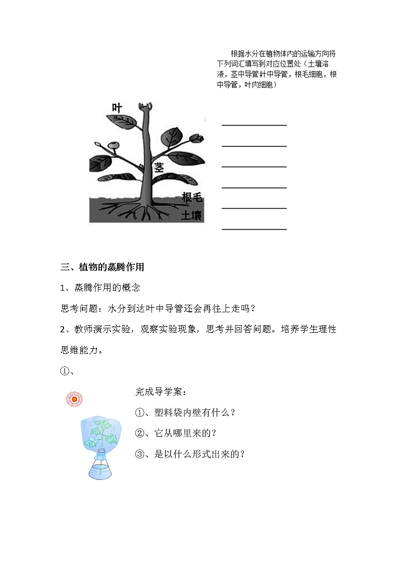 冀教版八年级生物上册第三单元第四章《第二节 蒸腾作用》教学设计03