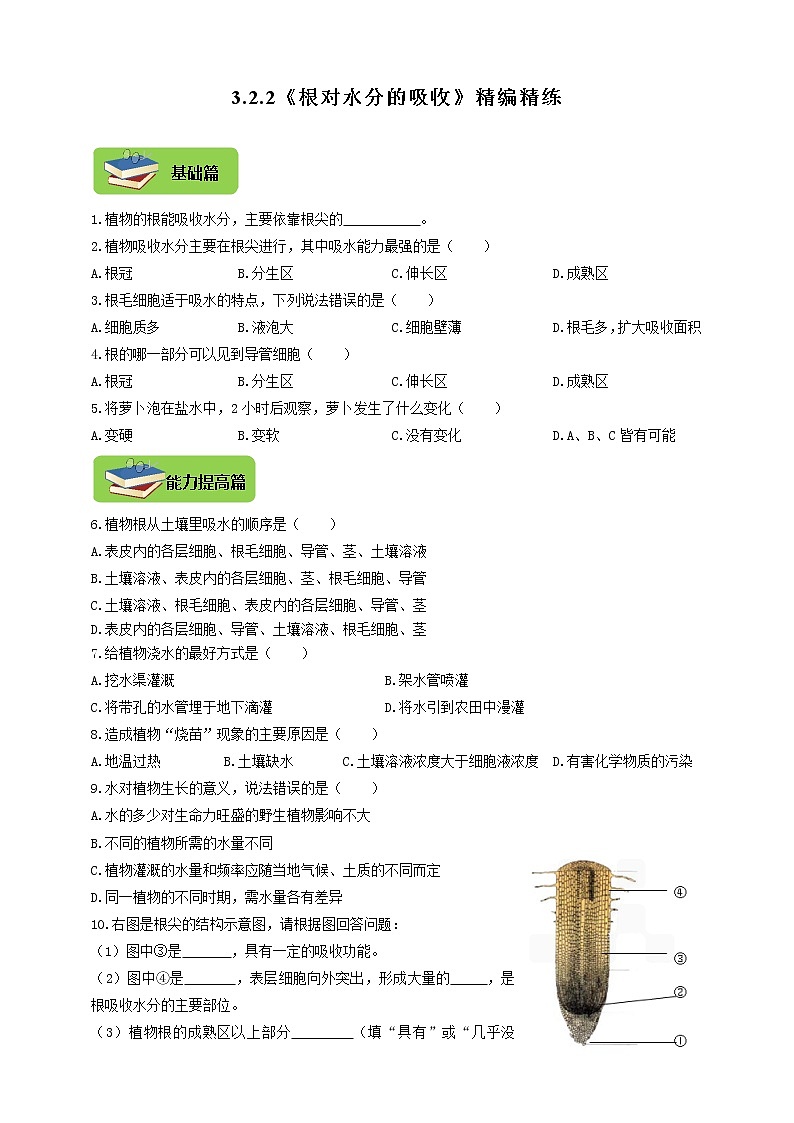 3.2.2《根对水分的吸收》同步练习01