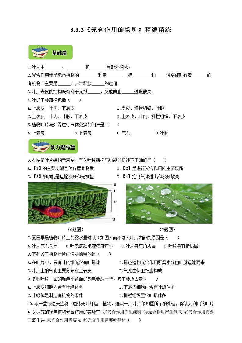 3.3.3《光合作用的场所》同步练习第1页