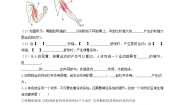 2020-2021学年第二节 运动的完成测试题
