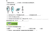 冀教版八年级上册第二节 病毒综合训练题