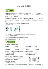 冀教版八年级上册第二节 病毒综合训练题