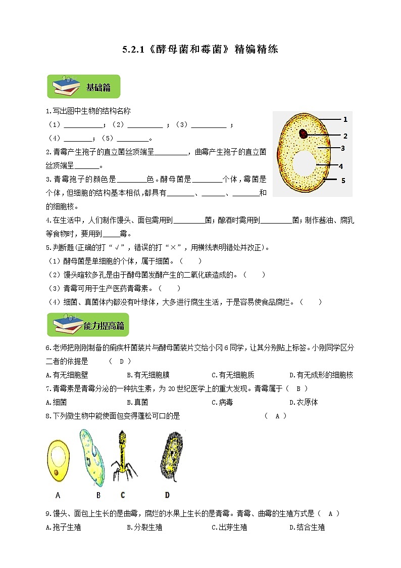 5.2.1《酵母菌和霉菌》同步练习01