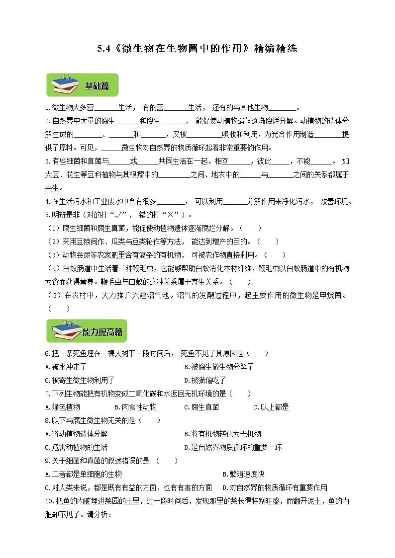 5.4《微生物在生物圈中的作用》同步练习01