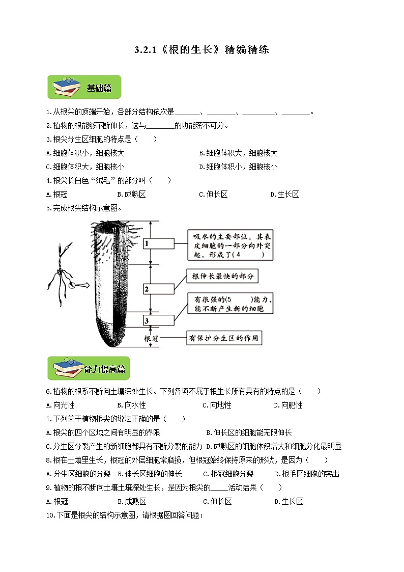 3.2.1《根的生长》同步练习第1页