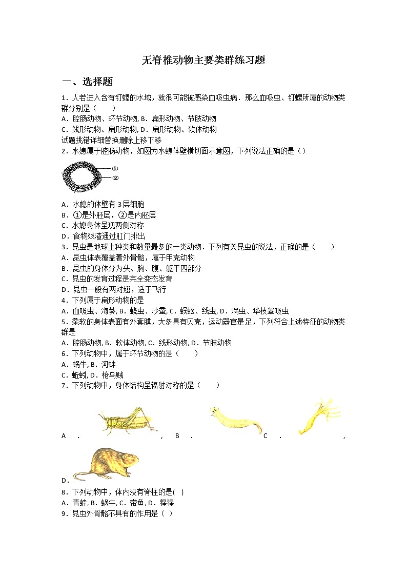 2.2.1 无脊椎动物主要类群 练习题(无答案)第1页