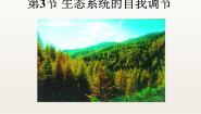 生物苏科版3 生态系统的自我调节背景图ppt课件