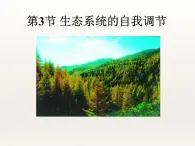 苏科版八年级上册生物  18.3生态系统的自我调节 课件