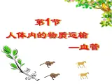 苏科版八年级上册生物  15.1人体内物质的运输 课件