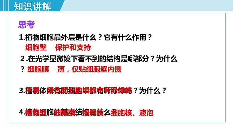 人教版七年级生物上册 第二单元 第一章 第二节 第2课时 植物细胞的基本结构 课件07