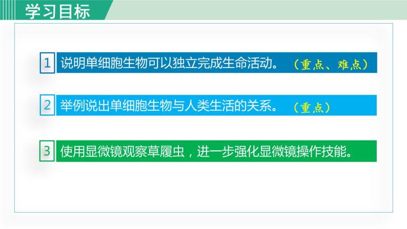 人教版七年级生物上册 第二单元 第二章 第四节 单细胞生物 课件04