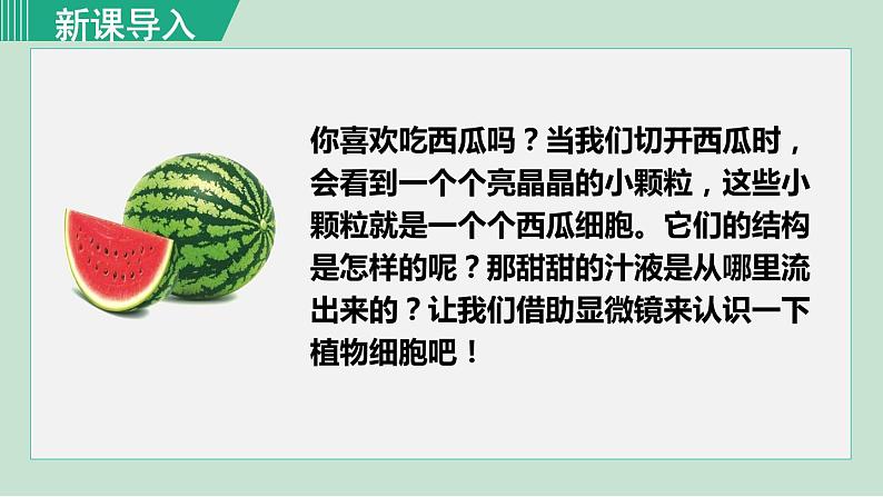 第二节 第1课时 观察植物细胞第1页