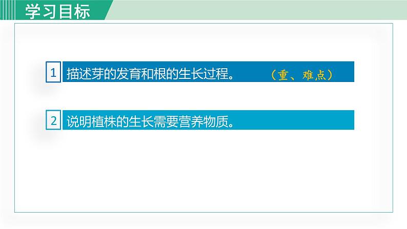 人教版七年级生物上册 第三单元 第二章 第二节 植株的生长第3页