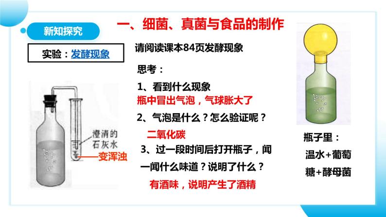 【核心素养目标】人教版初中生物八年级上册5.4.5《人类对细菌和真菌的利用》课件+视频+教学设计+同步分层练习（含答案）07