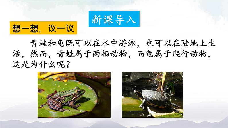 人教版八年级上册生物 5.1.5 两栖动物和爬行动物 课件+素材02
