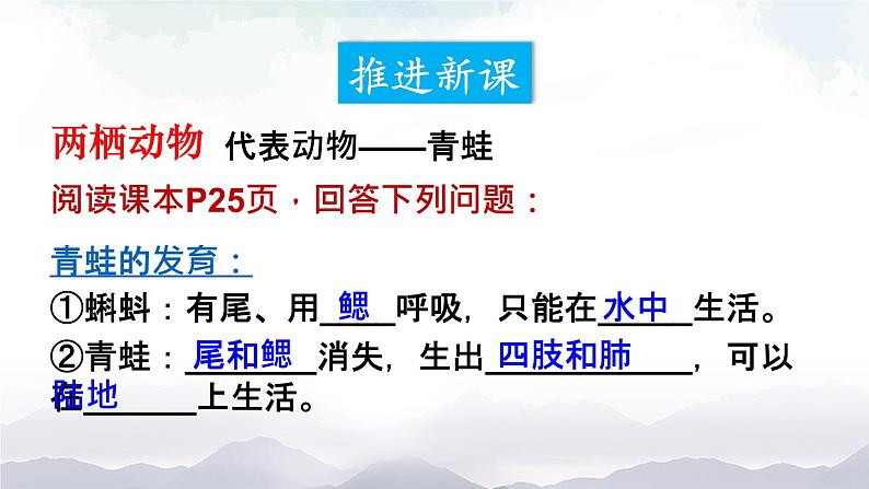 人教版八年级上册生物 5.1.5 两栖动物和爬行动物 课件+素材04