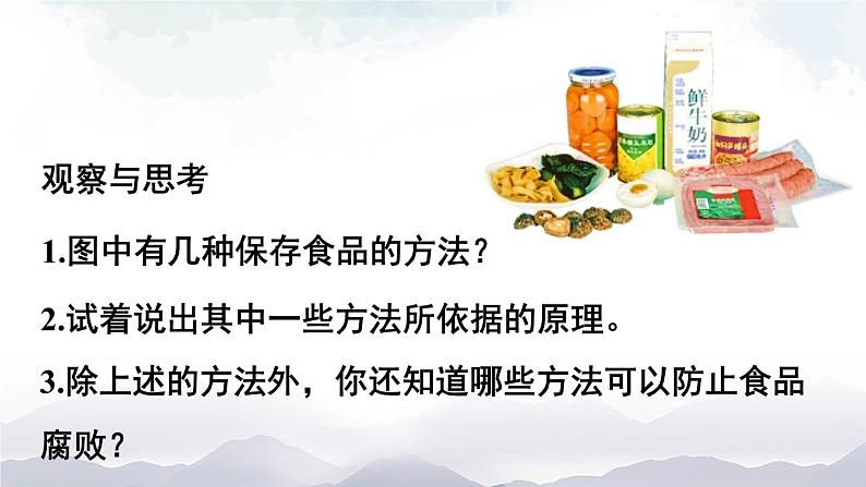 人教版八年级上册生物 5.4.5 人类对细菌和真菌的利用 课件+素材07
