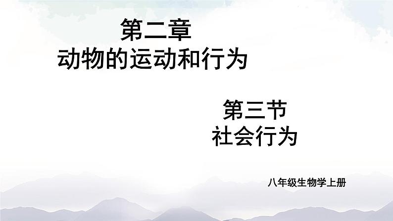人教版八年级上册生物 5.2.3 社会行为 课件+素材01