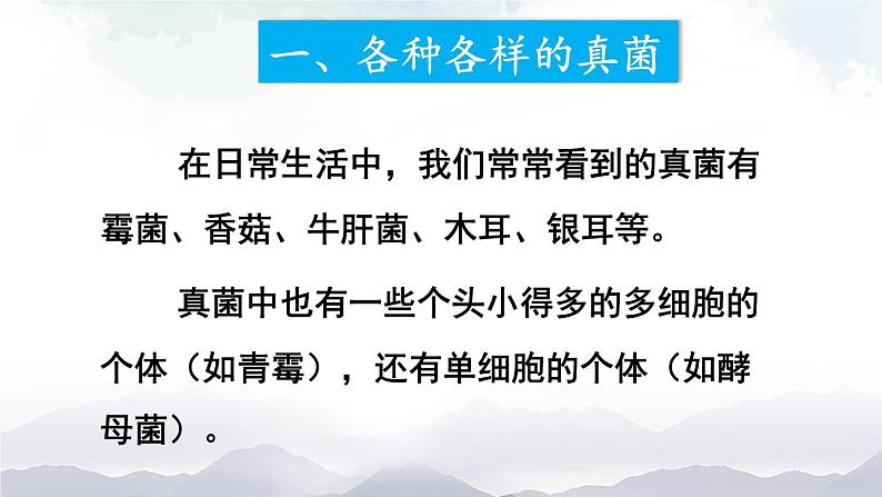人教版八年级上册生物 5.4.3 真菌 课件+素材06