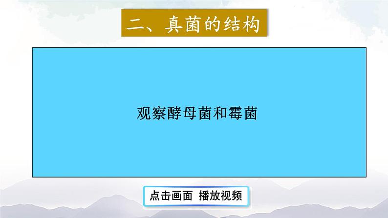 人教版八年级上册生物 5.4.3 真菌 课件+素材08