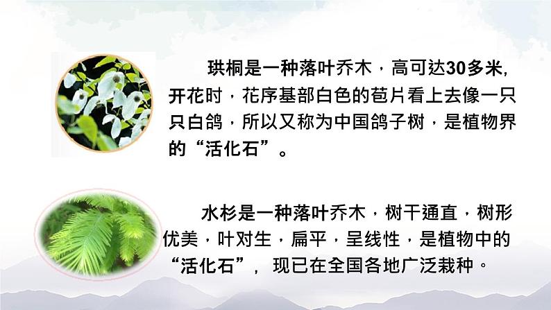 人教版八年级上册生物 6.3 保护生物的多样性 课件+教案+素材07