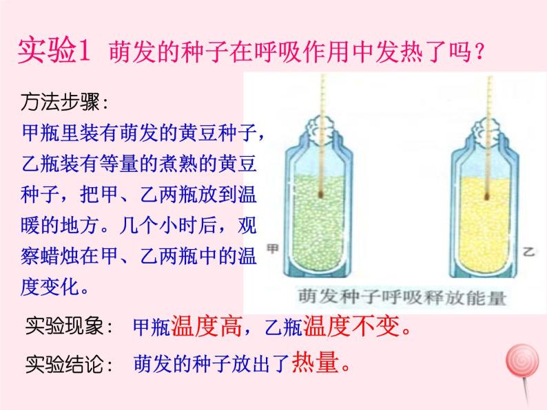 七年级生物上册第三单元第五章第二节绿色植物的呼吸作用课件03