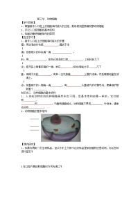 初中第三节 动物细胞免费学案设计