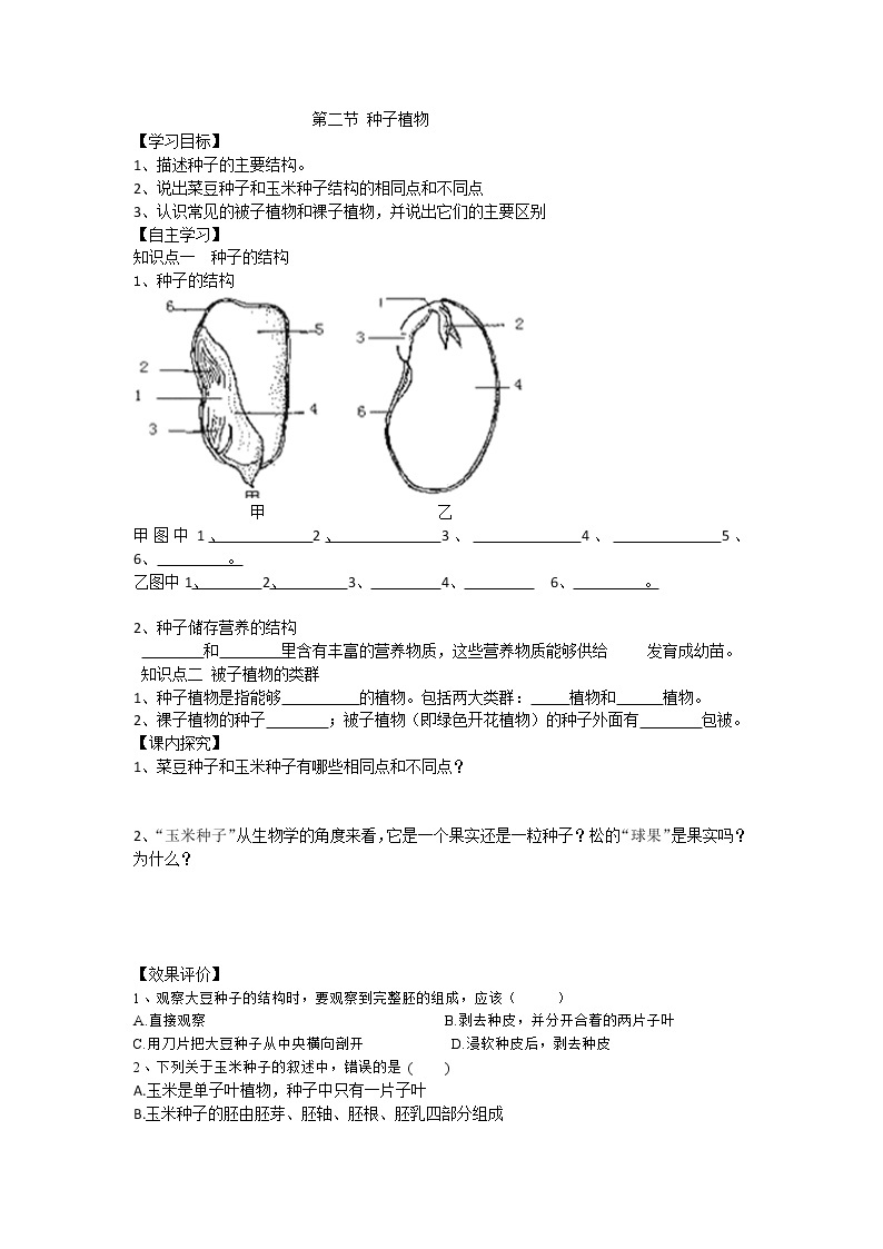 3.1.2 种子植物 导学案（无答案）01