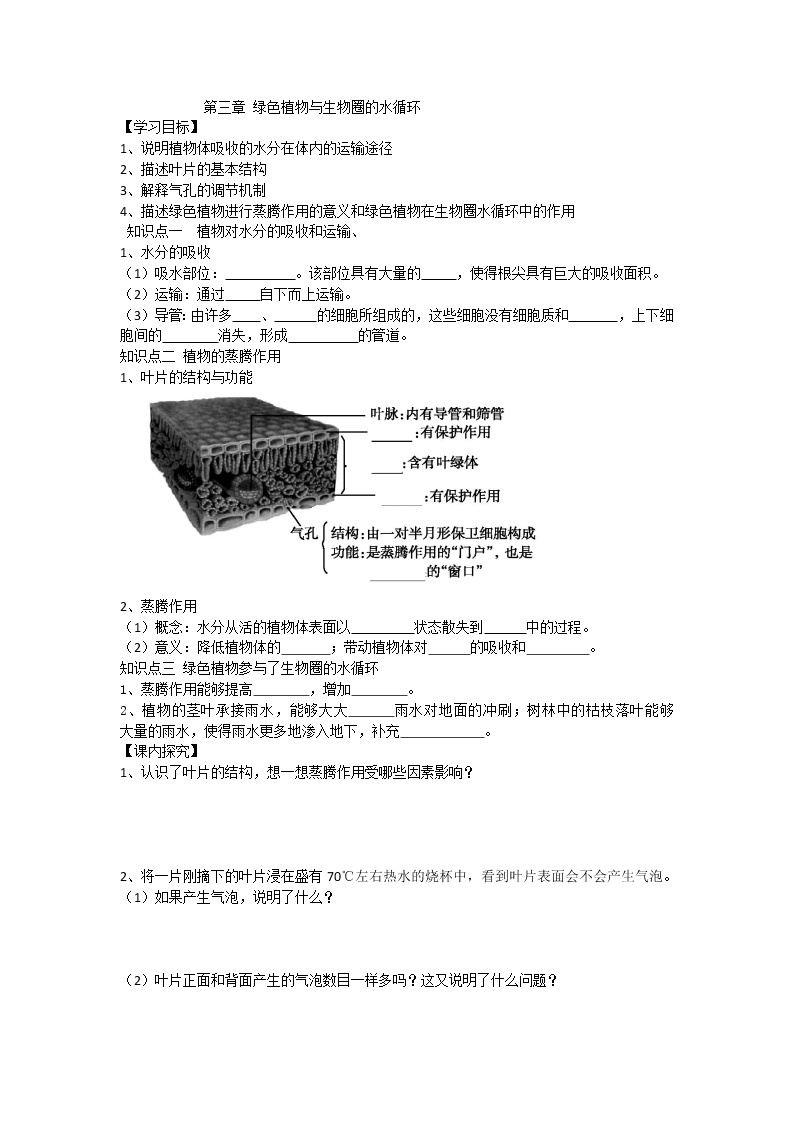 3.3 绿色植物与生物圈的水循环 导学案（无答案）01