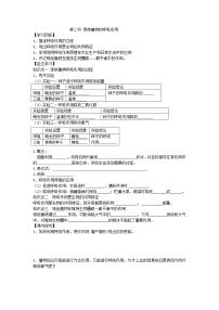 生物七年级上册第二节 绿色植物的呼吸作用学案设计