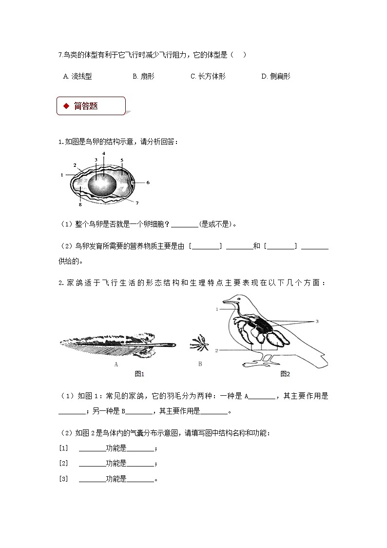 5.1.6《鸟》(基础+培优+提升)练习02