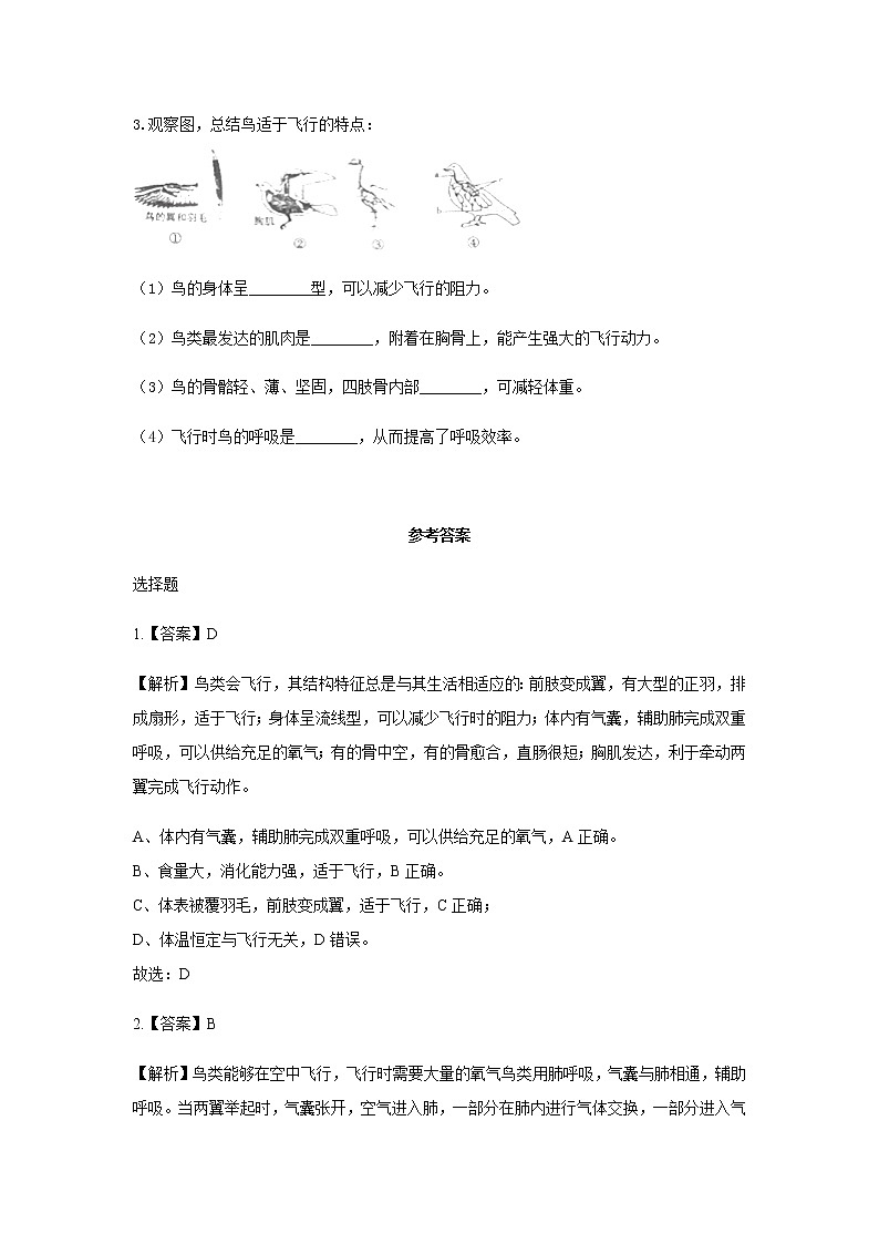 5.1.6《鸟》(基础+培优+提升)练习03