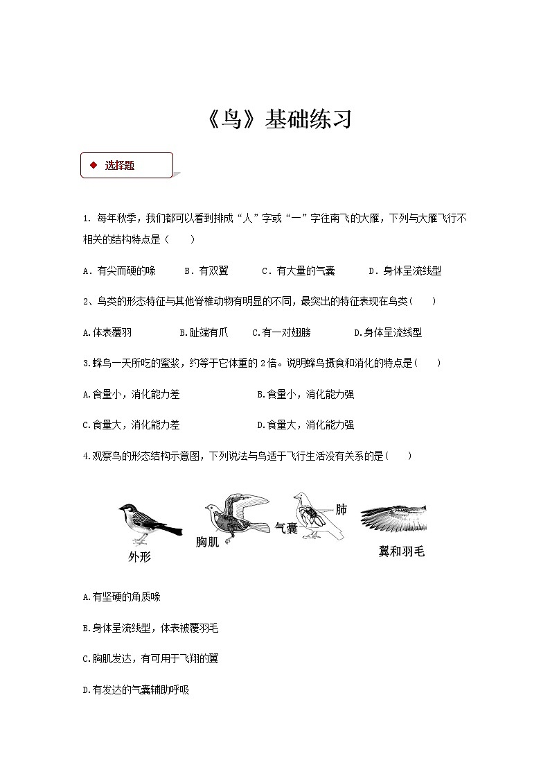 5.1.6《鸟》(基础+培优+提升)练习01