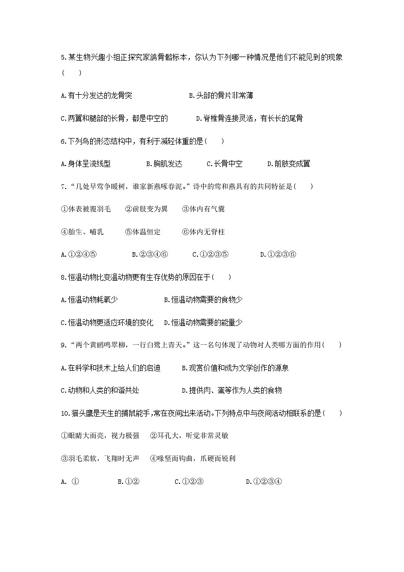 5.1.6《鸟》(基础+培优+提升)练习02