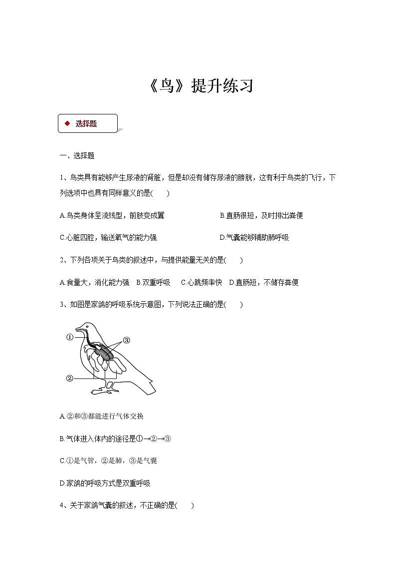 5.1.6《鸟》(基础+培优+提升)练习01