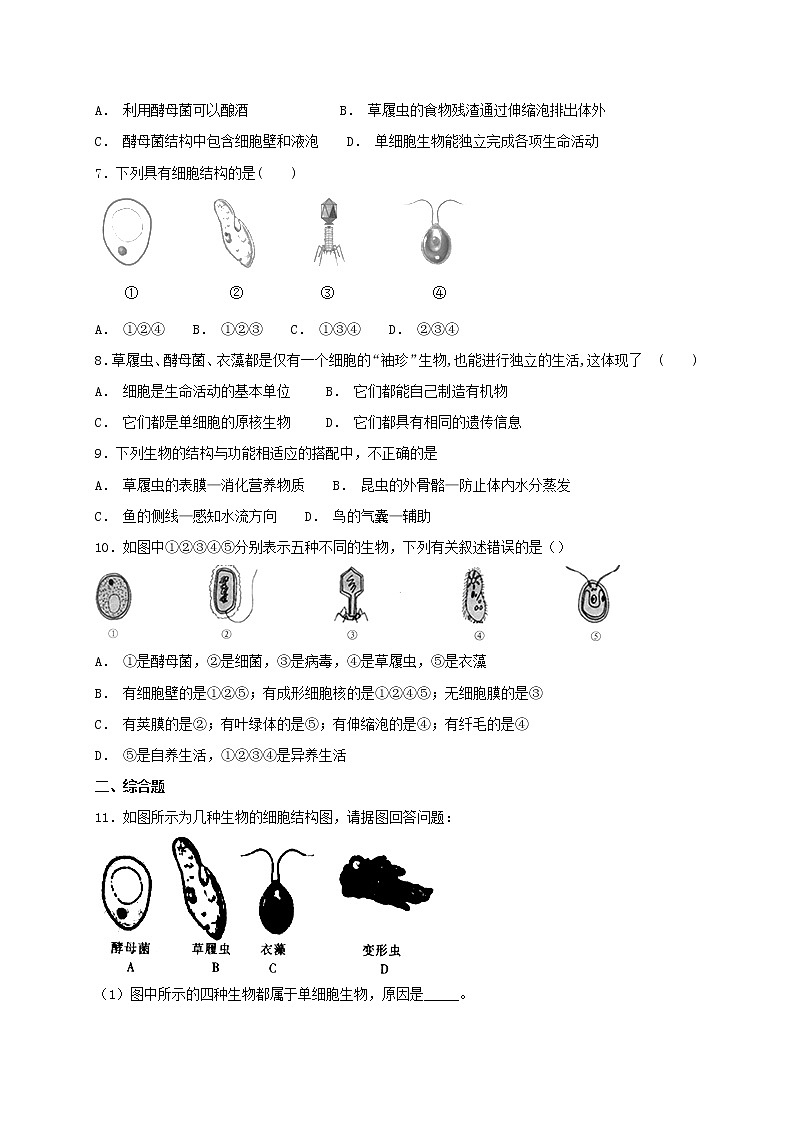 2.2.4 单细胞生物 同步练习(含答案)02