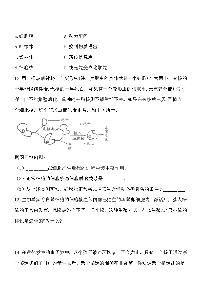 2.3.2细胞是生命活动的单位 同步练习02