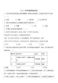 初中生物北师大版七年级上册第三单元  生物圈中的绿色植物第6章  绿色开花植物的生活史第1节 种子萌发形成幼苗达标测试