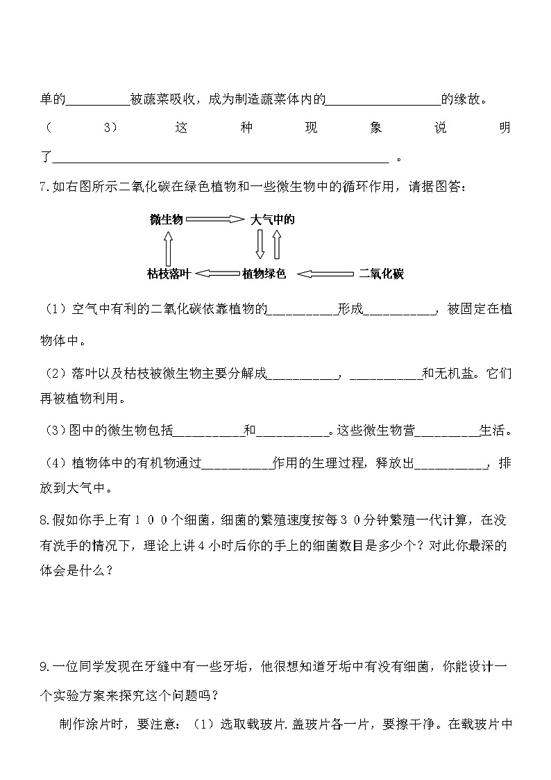 5.18.1微生物在生物圈中的作用同步練習(xí)第2頁