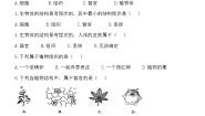 苏教版七年级上册第二节 多细胞生物体的组成当堂检测题