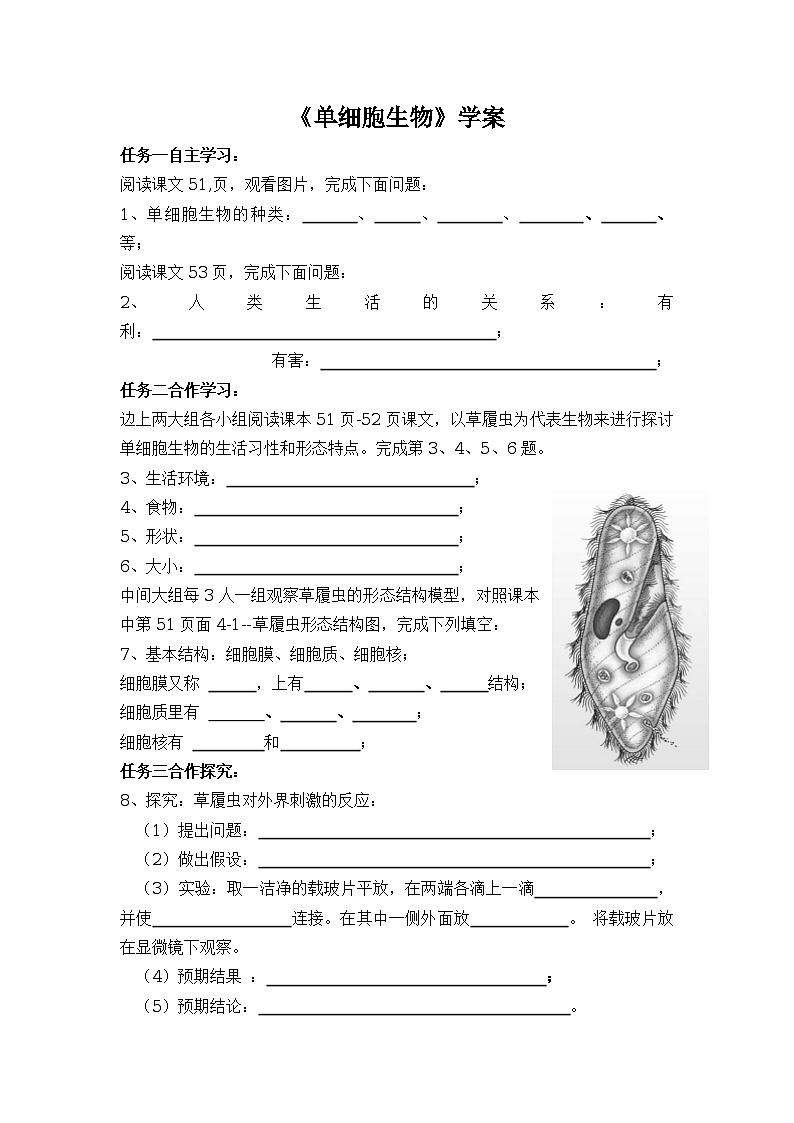 第三节 单细胞生物学案01