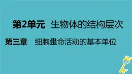 2.3.2 人和动物细胞的结构与功能更课件