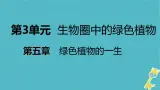 3.5.3 植物生长需要水和无机盐课件
