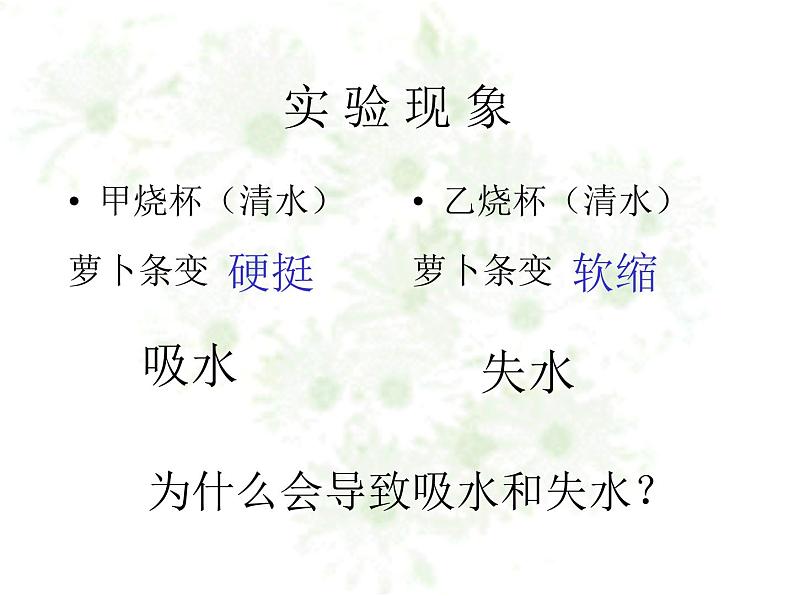冀教版八上生物 3.2.2根对水分的吸收 课件08
