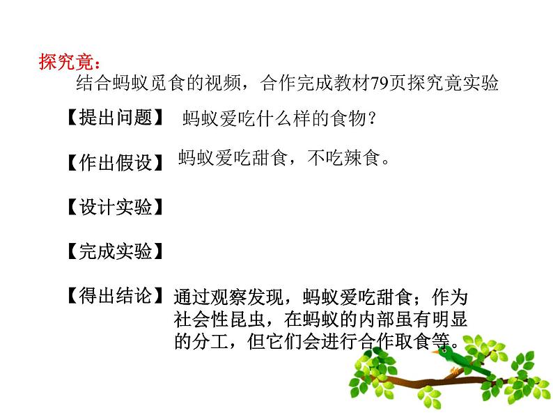 冀教版八上生物 4.2.2动物行为的类型 课件04