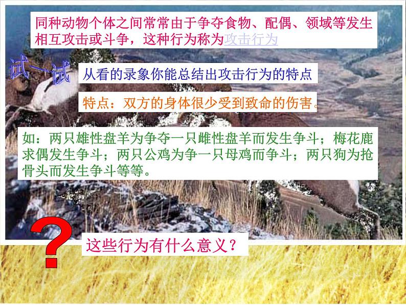 冀教版八上生物 4.2.2动物行为的类型 课件08