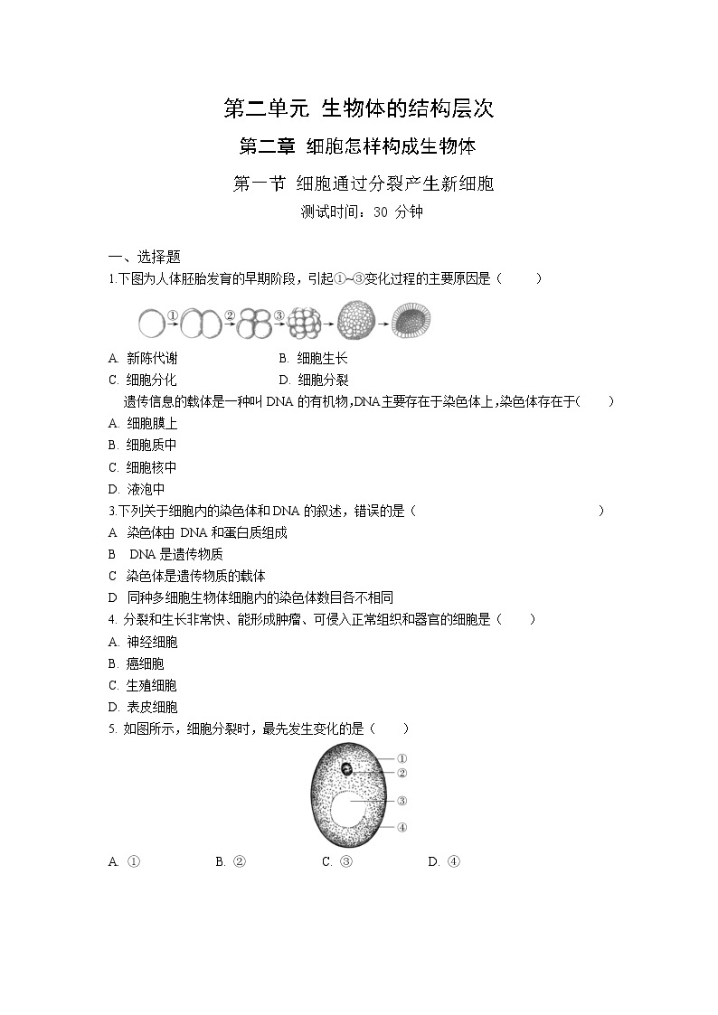 人教版生物七年级上册 第2单元 2.1 细胞通过分裂产生新细胞 同步练习题（解析版）01