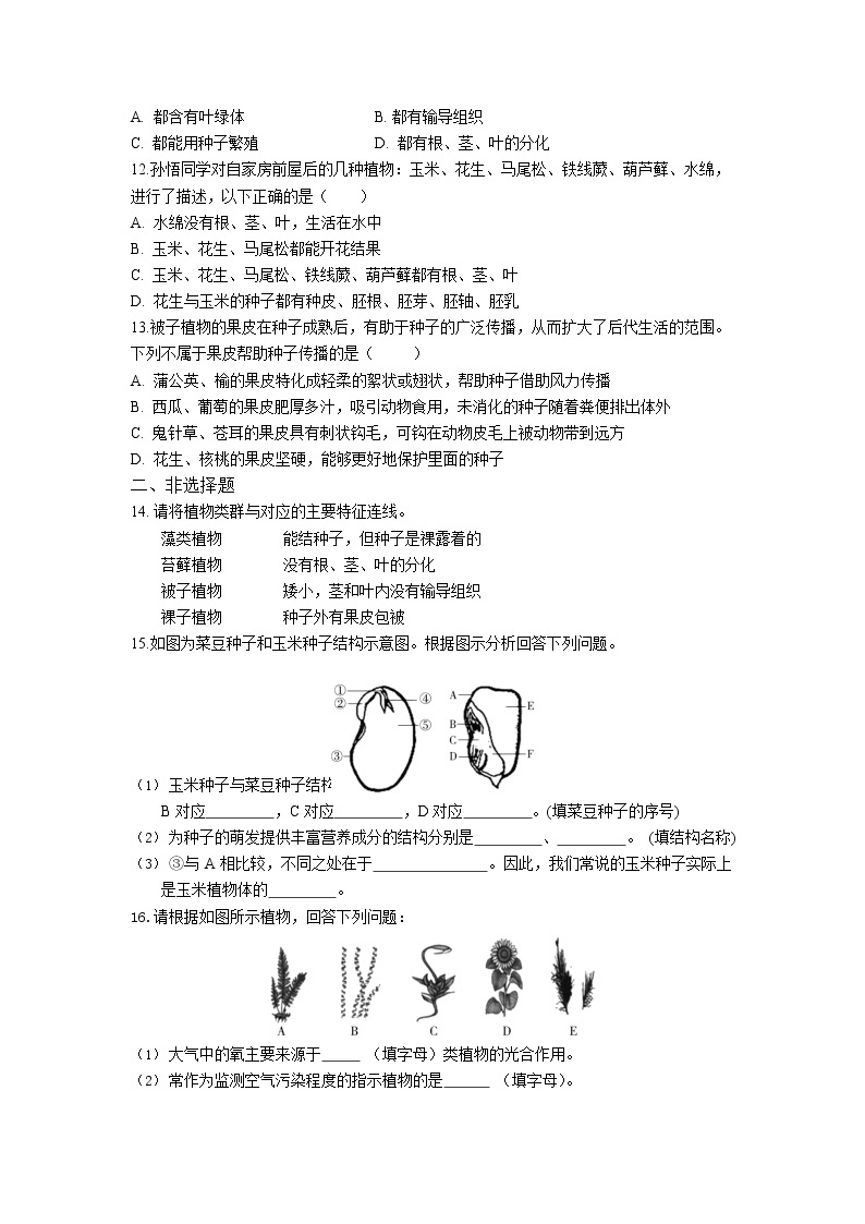 人教版生物七年级上册 第3单元 1.2 种子植物 同步练习题（解析版）02